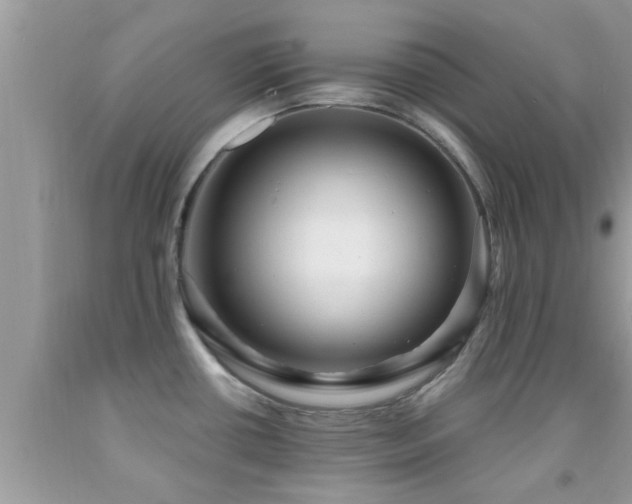 X0000092031434200709061605