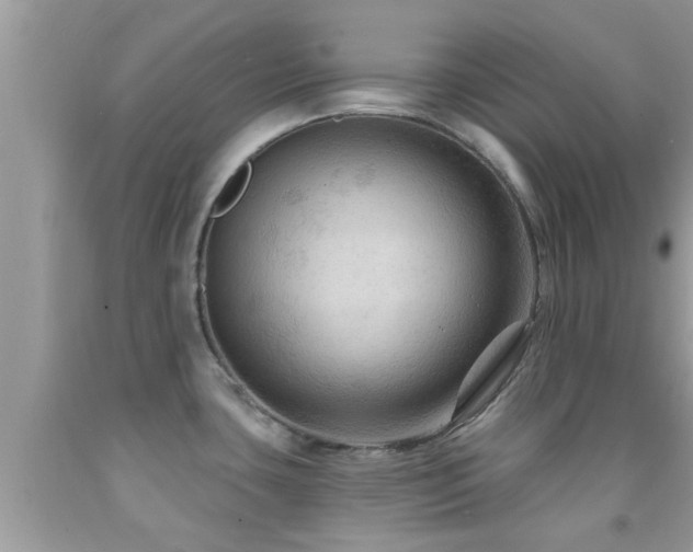 X0000092031435200709061605