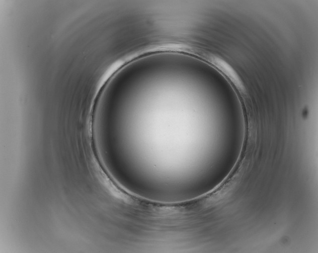 X0000092031436200709061605