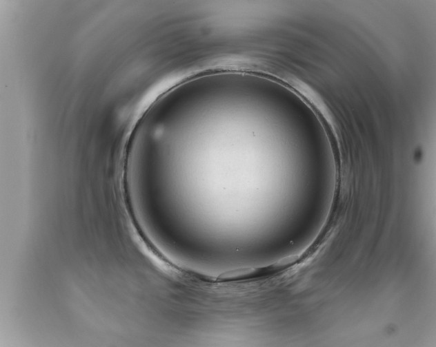 X0000092031437200709061605