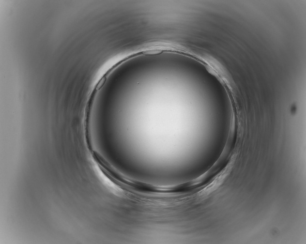 X0000092031438200709061605
