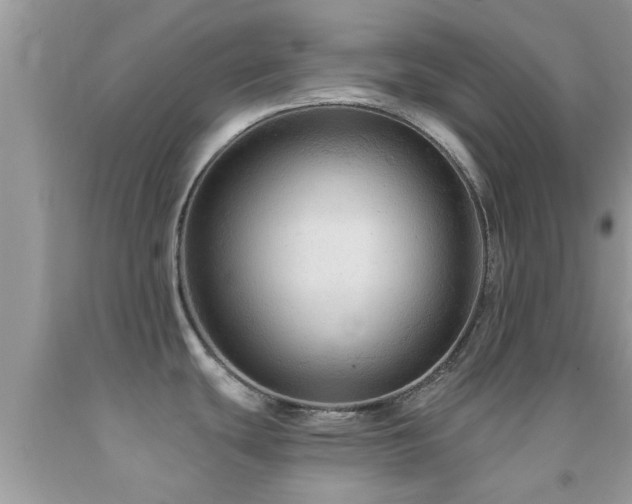X0000092031439200709061605