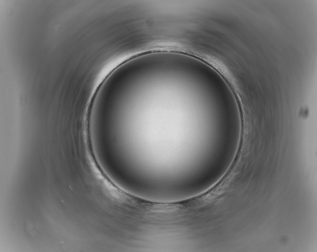 X0000092031440200709061605