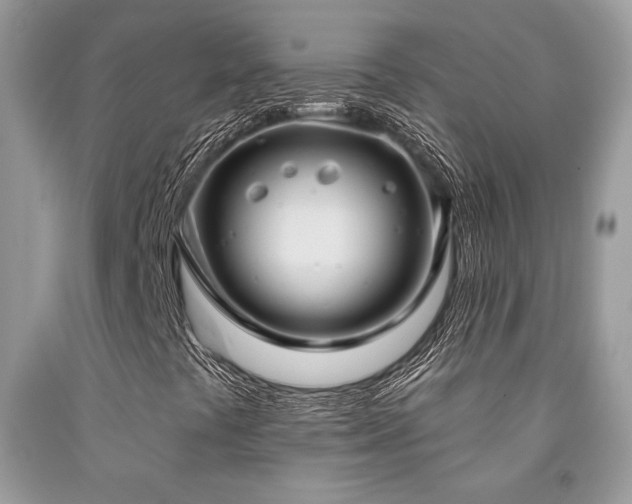X0000092031441200709061604