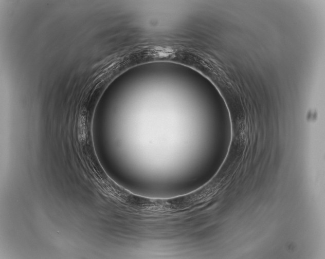 X0000092031442200709061604
