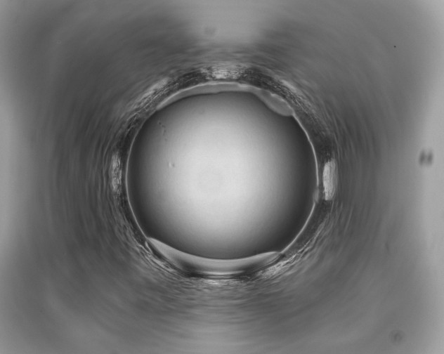 X0000092031443200709061604