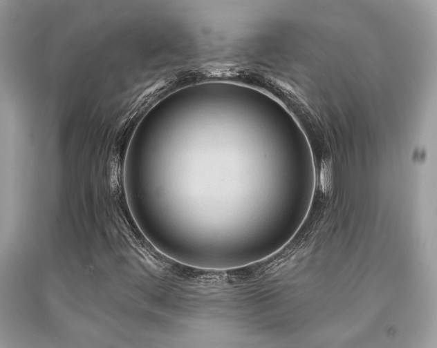 X0000092031444200709061604
