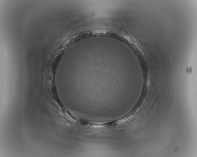 X0000092031445200709061604