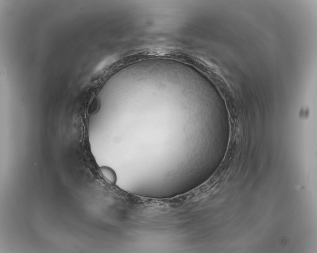 X0000092031446200709061604