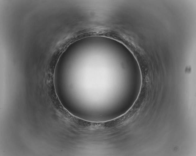 X0000092031447200709061604