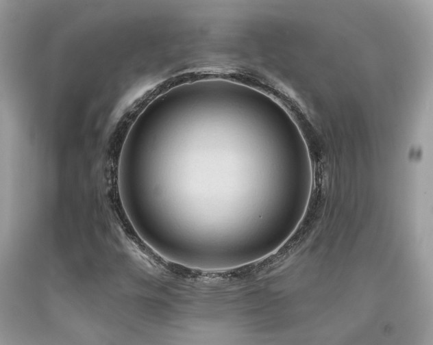 X0000092031448200709061604