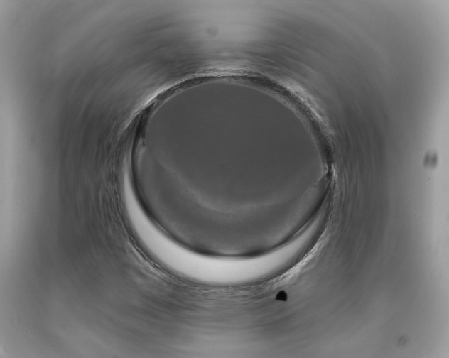 X0000092031449200709061604