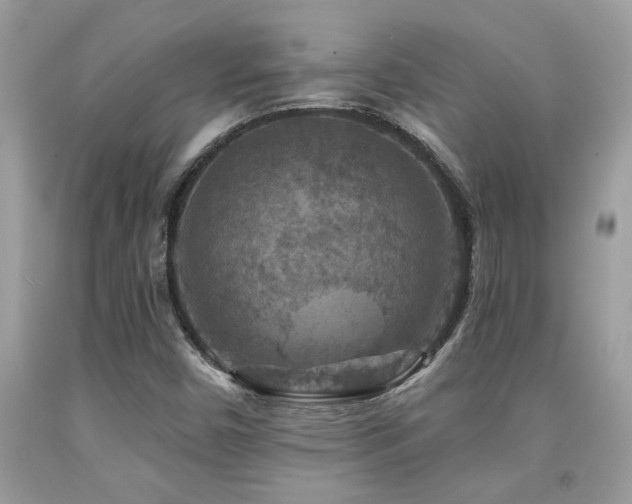 X0000092031450200709061604
