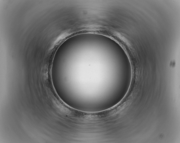 X0000092031451200709061604