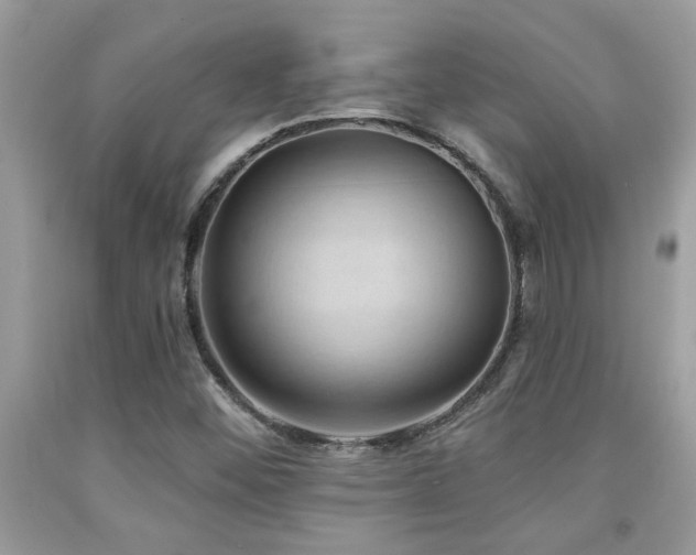 X0000092031452200709061604