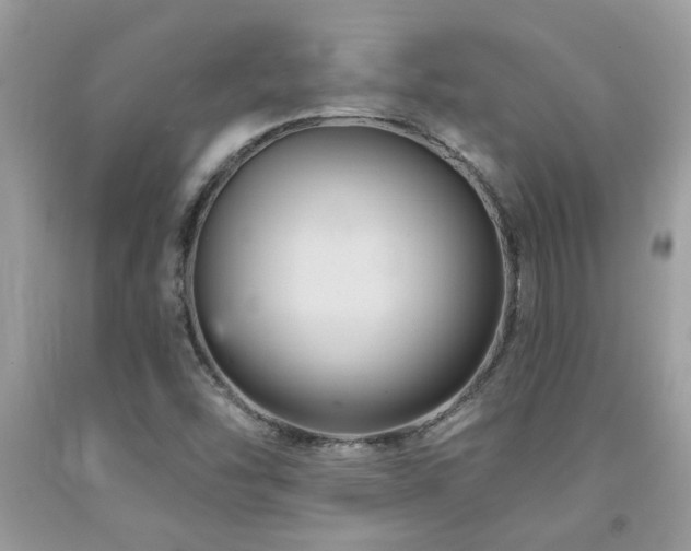 X0000092031454200709061604