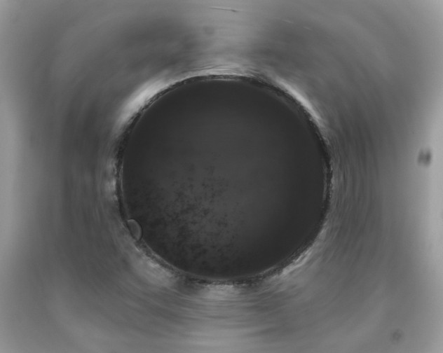 X0000092031455200709061604
