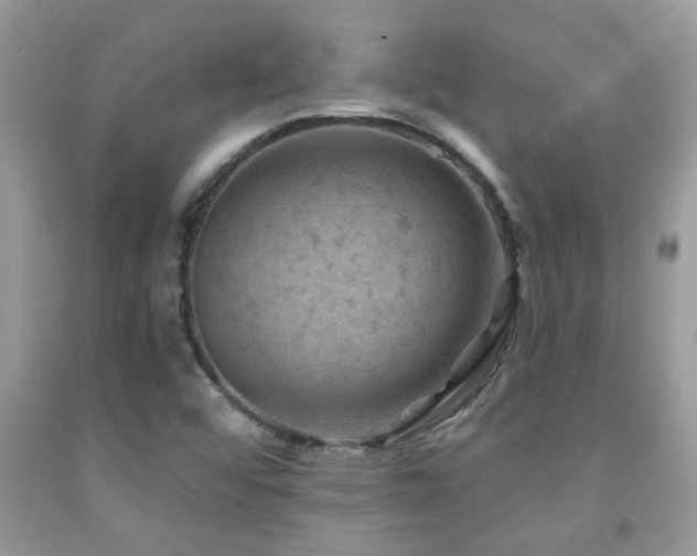 X0000092031456200709061604