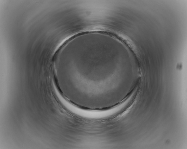 X0000092031457200709061604