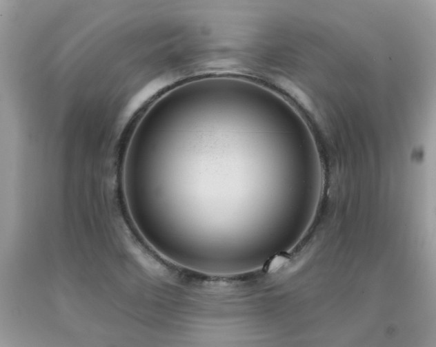 X0000092031458200709061604