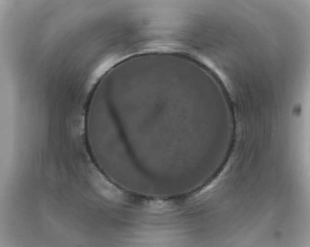 X0000092031459200709061604