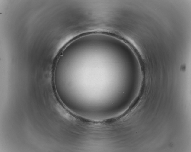 X0000092031460200709061604