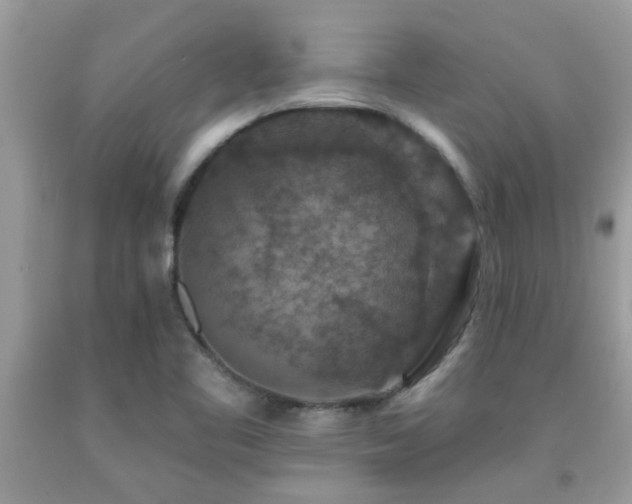 X0000092031461200709061604