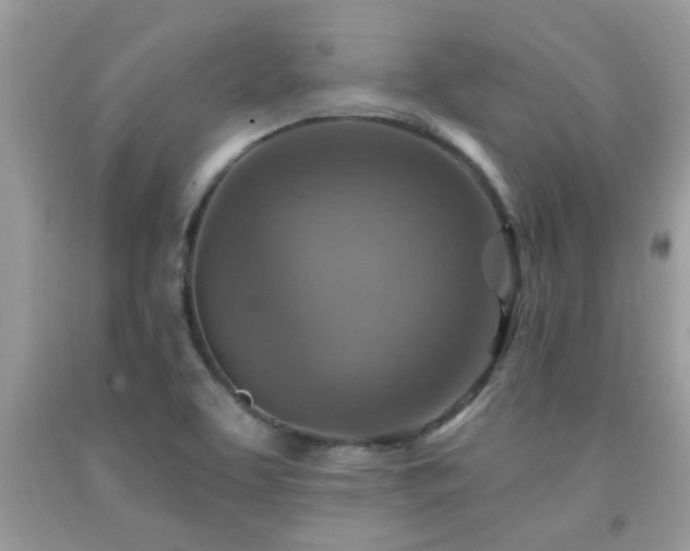 X0000092031463200709061604