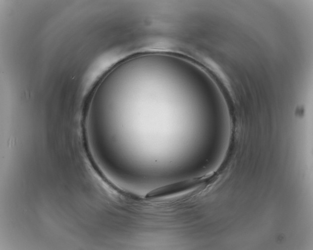 X0000092031464200709061604