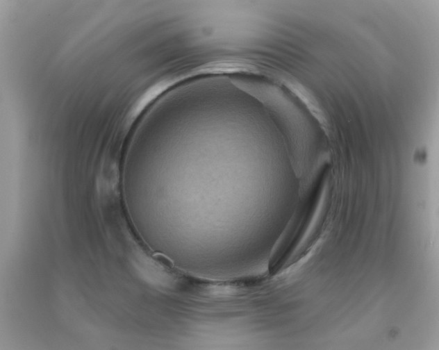 X0000092031465200709061604
