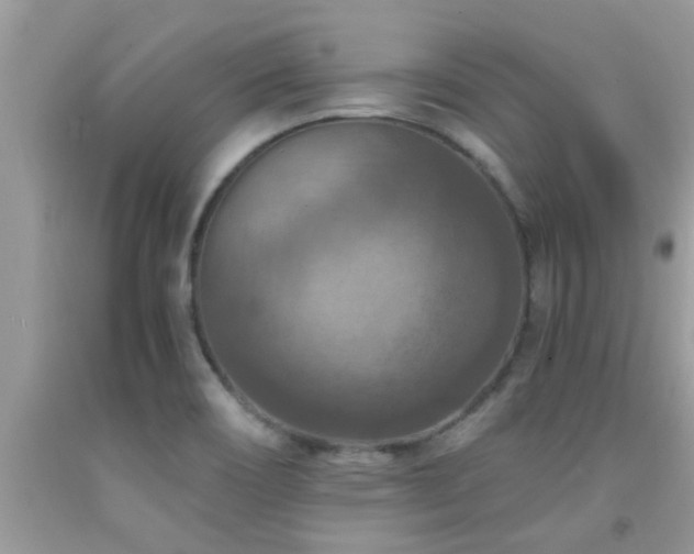 X0000092031466200709061604