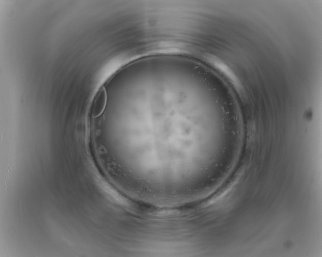 X0000092031467200709061604