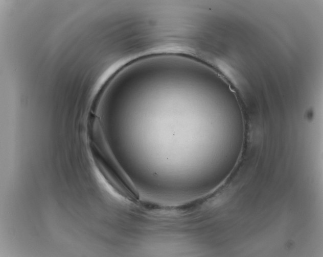 X0000092031468200709061604