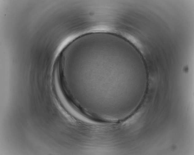 X0000092031469200709061604