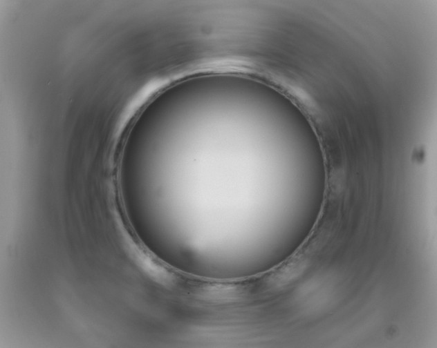 X0000092031470200709061604