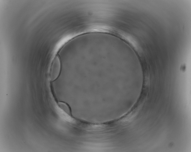 X0000092031471200709061604
