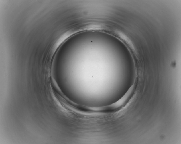 X0000092031473200709061604