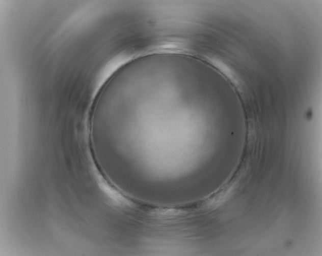 X0000092031474200709061604