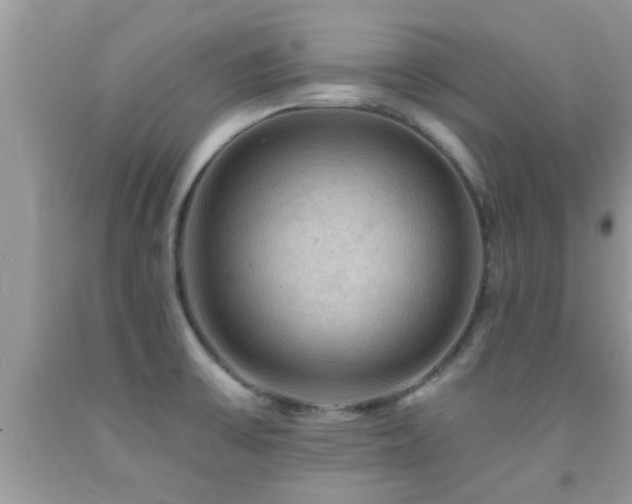 X0000092031475200709061604