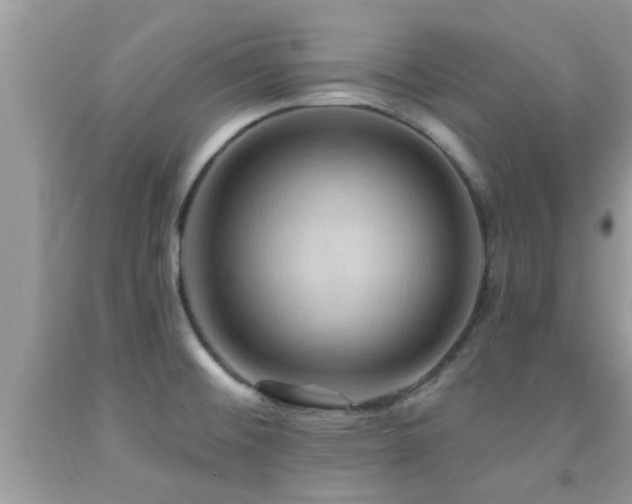 X0000092031476200709061604