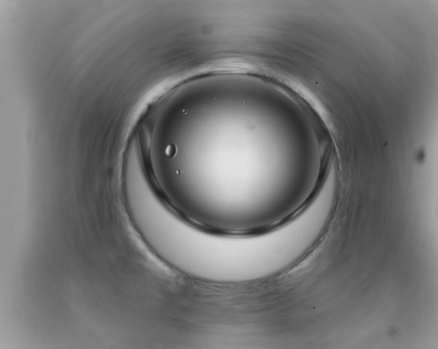 X0000092031477200709061604