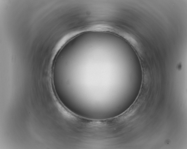 X0000092031478200709061604