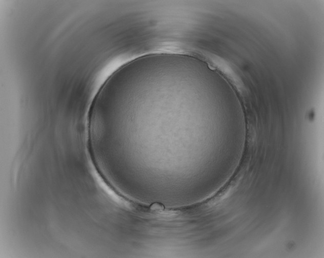 X0000092031479200709061604