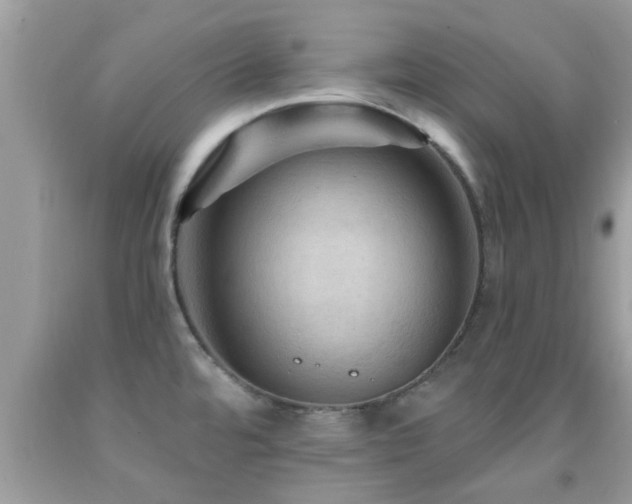 X0000092031480200709061604