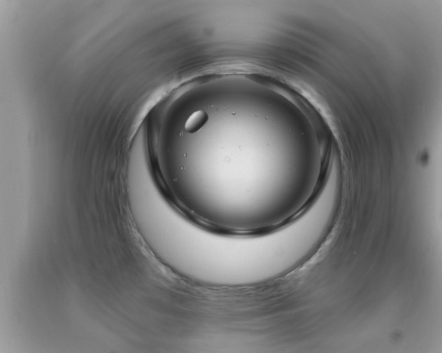 X0000092031481200709061604