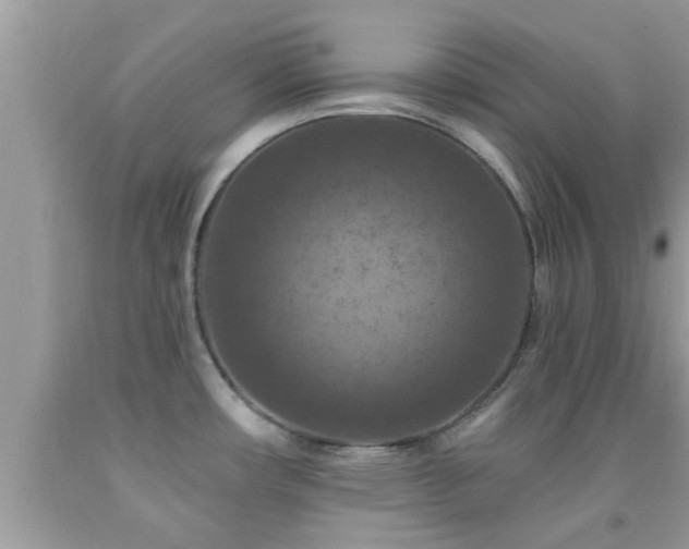 X0000092031482200709061604