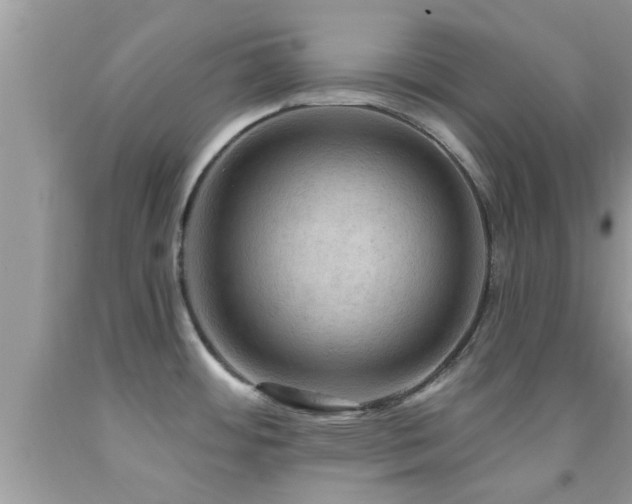 X0000092031484200709061604