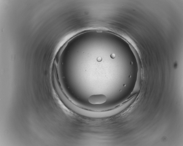 X0000092031485200709061604