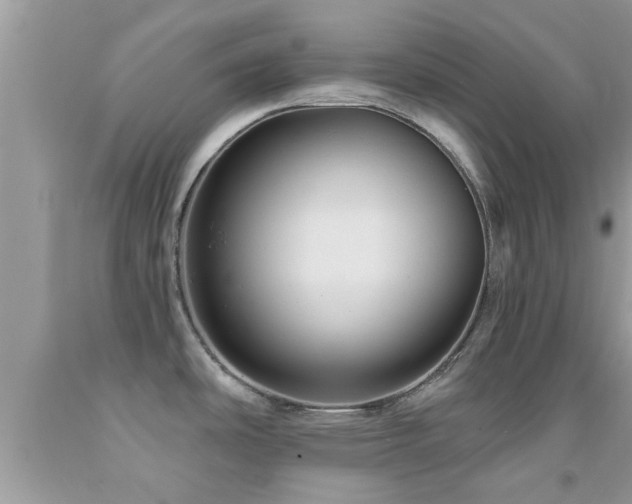X0000092031486200709061604