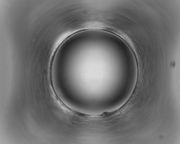 X0000092031488200709061604